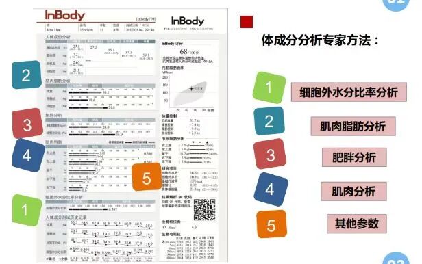 体检人体成分分析是什么@所有人 ｜ 不要轻易放弃这个体检项目_https://www.jmylbn.com_新闻资讯_第10张