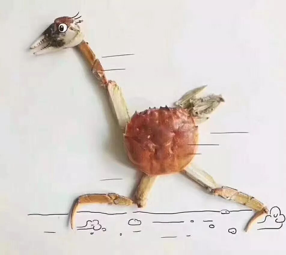 螃蟹壳拼图,其乐无穷!