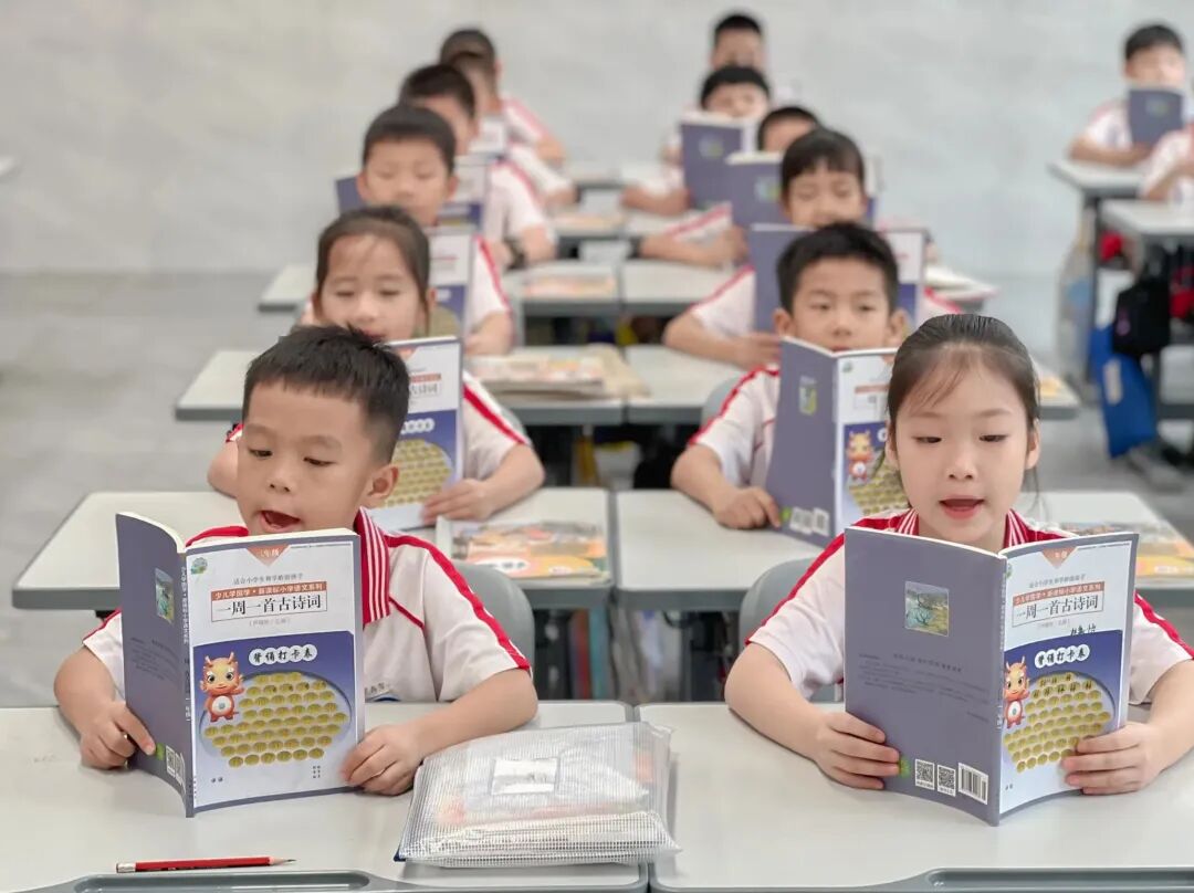 廣州民辦學校好還是公辦好_民辦廣州學校好進嗎_廣州十所最好民辦學校