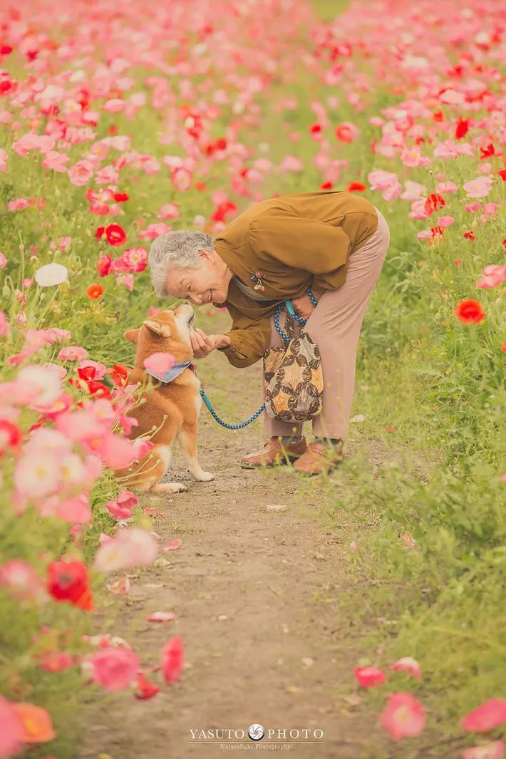 86 歲奶奶和柴犬共度餘生，一張圖片暖哭 34 萬網友，看完瞬間被治愈了… 未分類 第40張