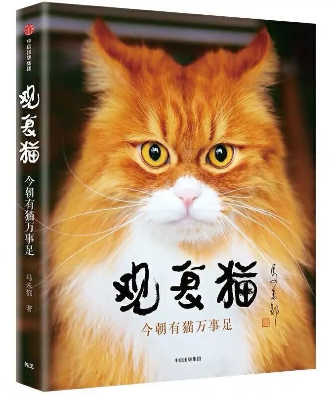 观复猫系列内容介绍_观复博物馆猫_观复博物馆的猫