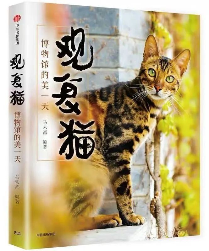 观复博物馆猫_观复博物馆的猫_观复猫系列内容介绍