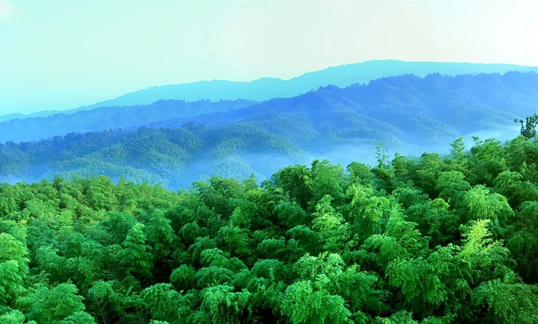 ֲ����Ҫ���ˣ�����������ˮ��ɽ������ǡ�