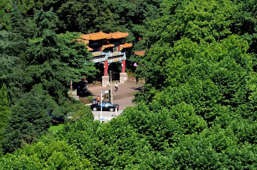 ֲ����Ҫ���ˣ�����������ˮ��ɽ������ǡ�