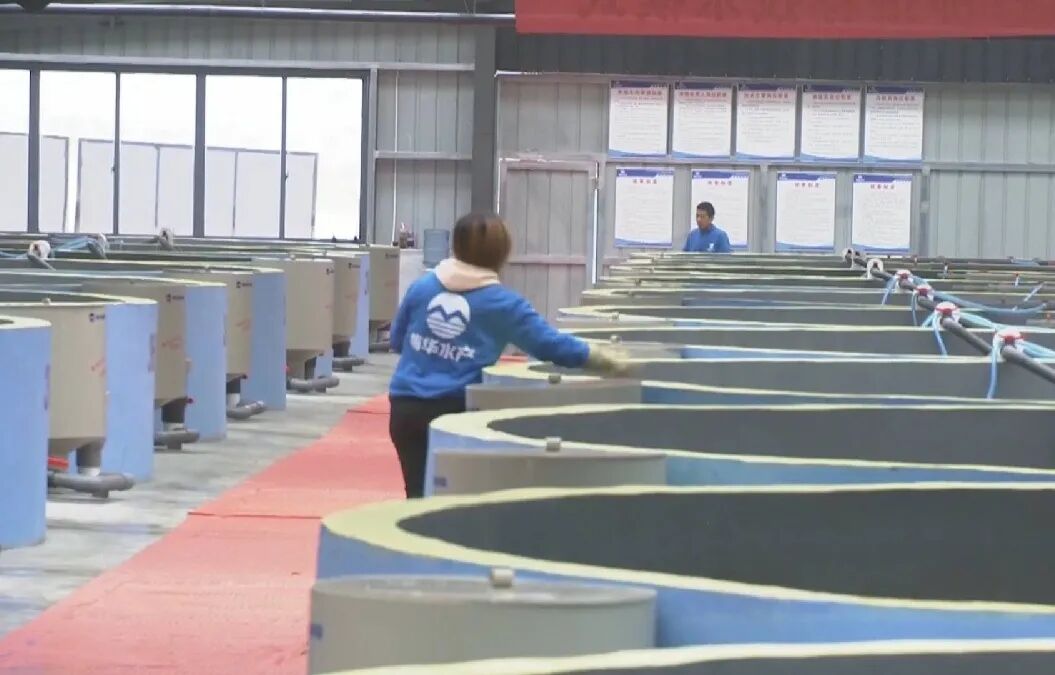 ���壺��ɫ���������ɫ��չ�»���