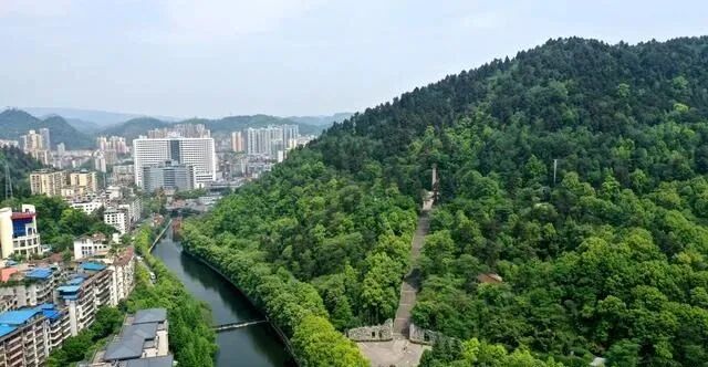 ������½�ͻ��20�棡���巢��ɭ�ֻ��ջ�ɫԤ��