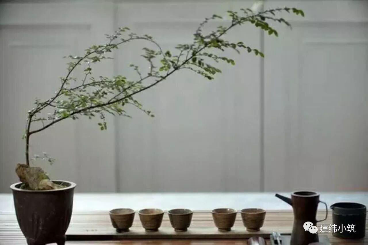 你还在存钱吗？现在都流行存茶了？