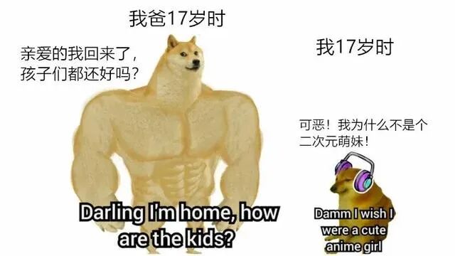 华元宠物从表情包到货币活在你表情包里的狗狗doge如何变成火出圈的