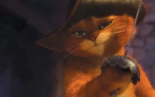 华元宠物,盘点影视作品中最出名的8个猫咪形象,谁是你理想中的伴侣呢?