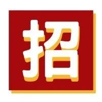 深圳某国有事业单位项目服务支持岗位招聘