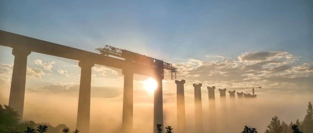 cover_image