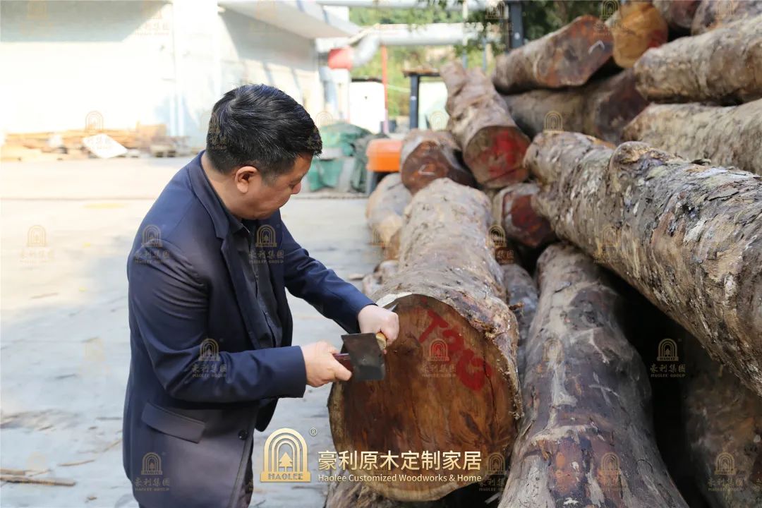 【原木資訊】新年首批大果紫檀到廠，豪利開啟2022囤木序幕(圖4)