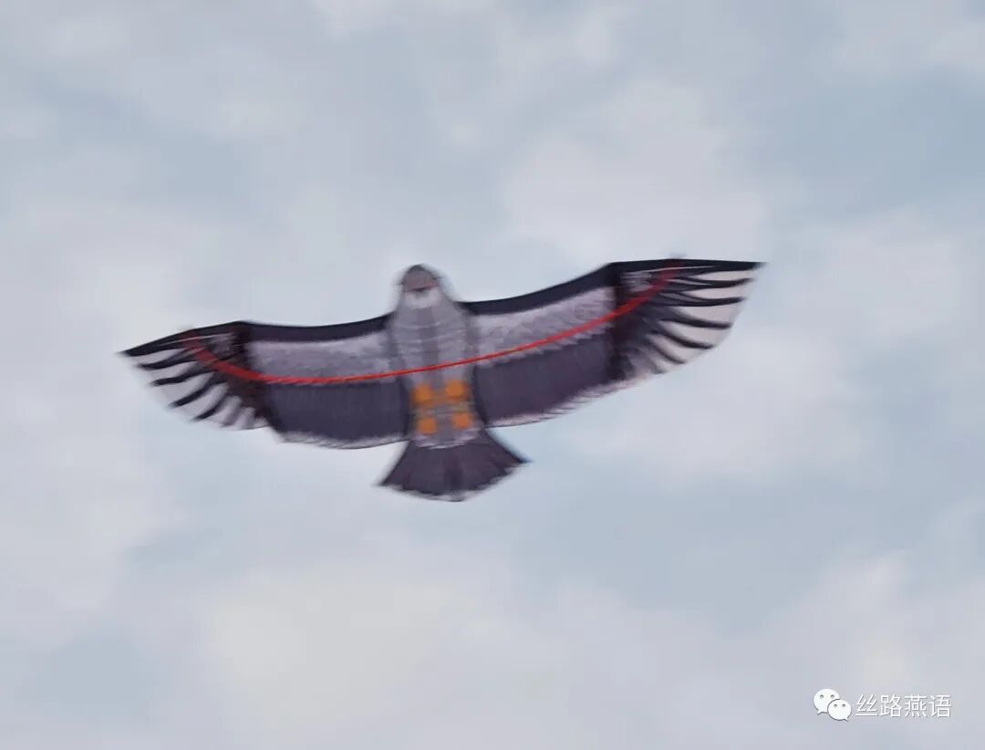 湛之晴：明镜照高台_湛社琴_新浪博客