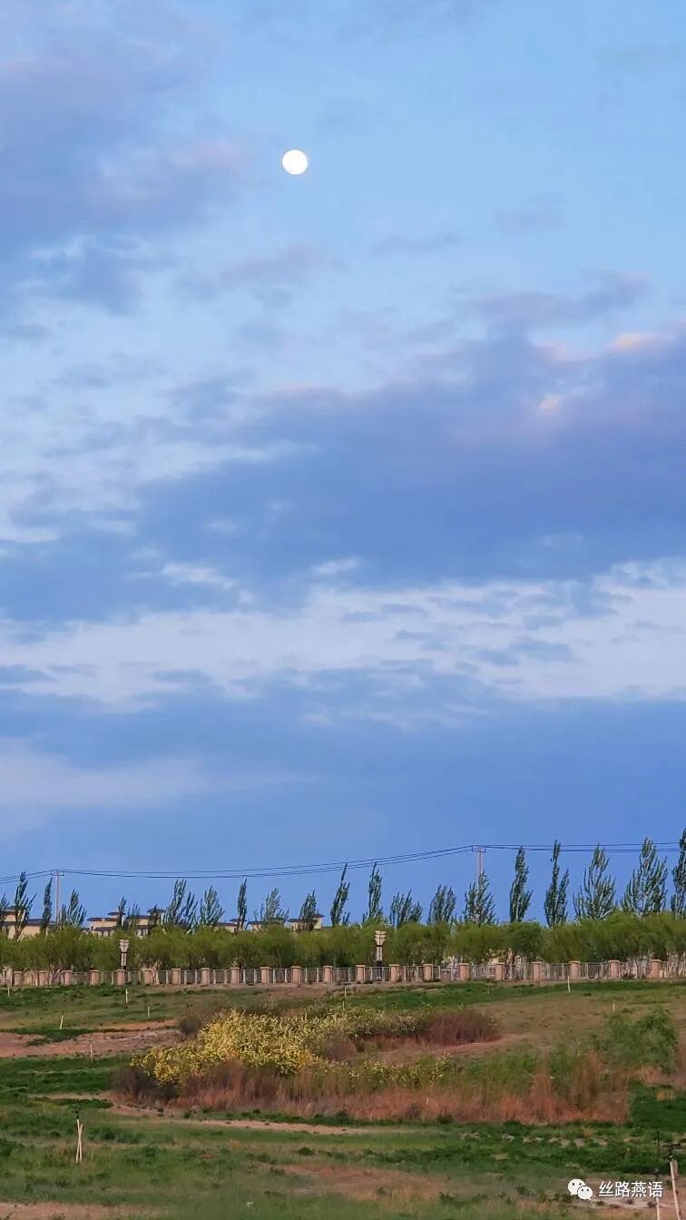 湛之晴：明镜照高台_湛社琴_新浪博客