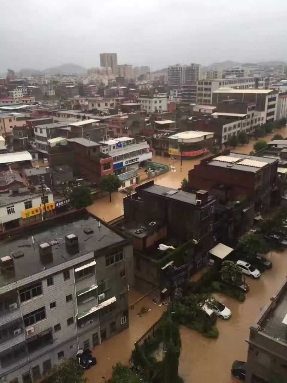 【震撼】一组图看遍南安洪濑遭受最强台风蹂躏后的面容.