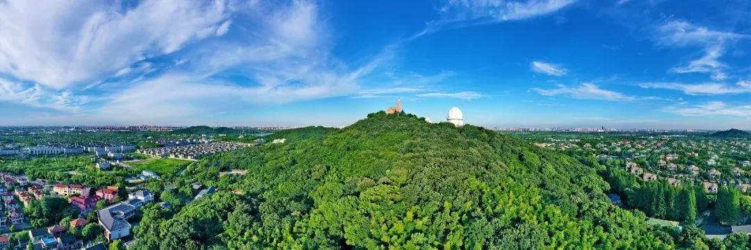 去爬山賞青綠,佘山深處,夏日悠長