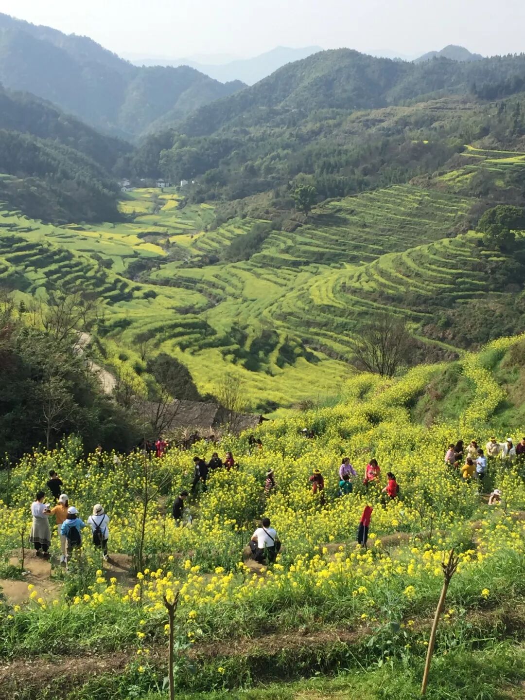 【余杭湖南商会活动】3月健康日活动篁岭之旅圆满结束！