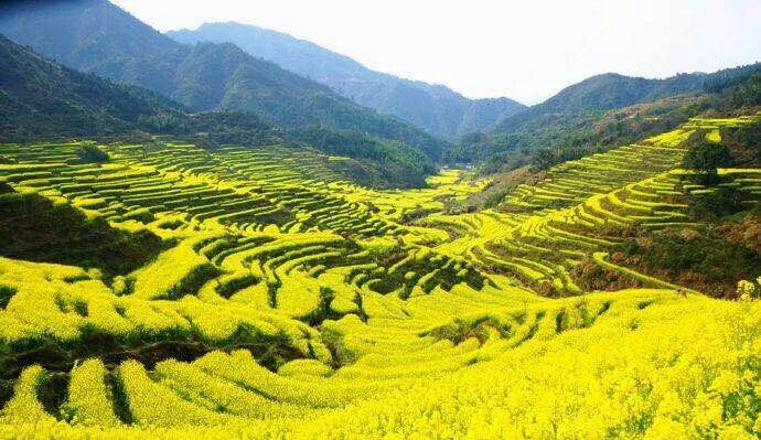 【余杭湖南商会活动】3月健康日活动篁岭之旅圆满结束！