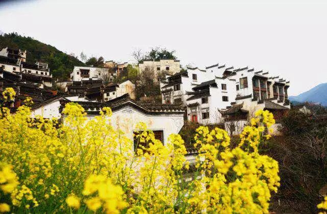 【余杭湖南商会活动】3月健康日活动篁岭之旅圆满结束！