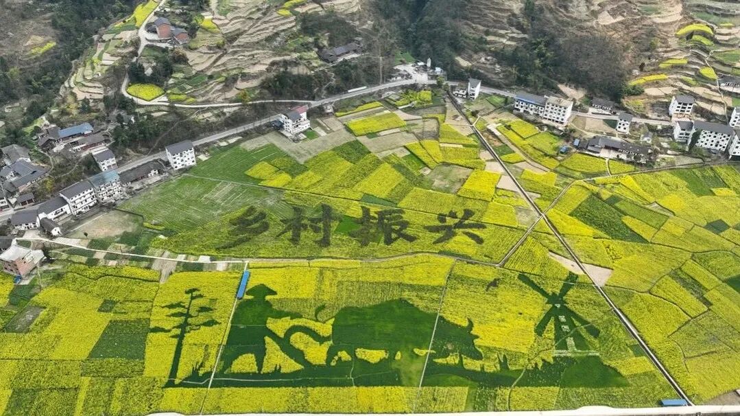 全文丨农业农村部一号文件来了!-智慧宁津