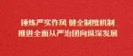 五年来共青团推进全面从严治团工作综述