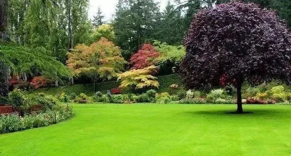 关于露天矿山，看这一篇就够了！的图34