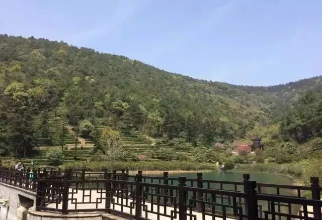 关于露天矿山，看这一篇就够了！的图32