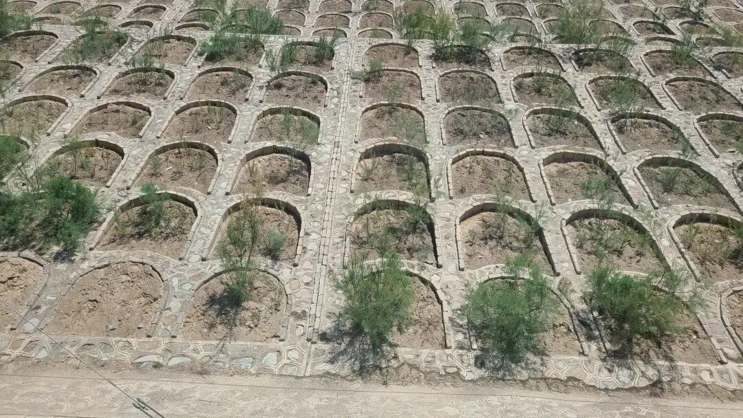 边坡生态修复常见问题及对策的图8