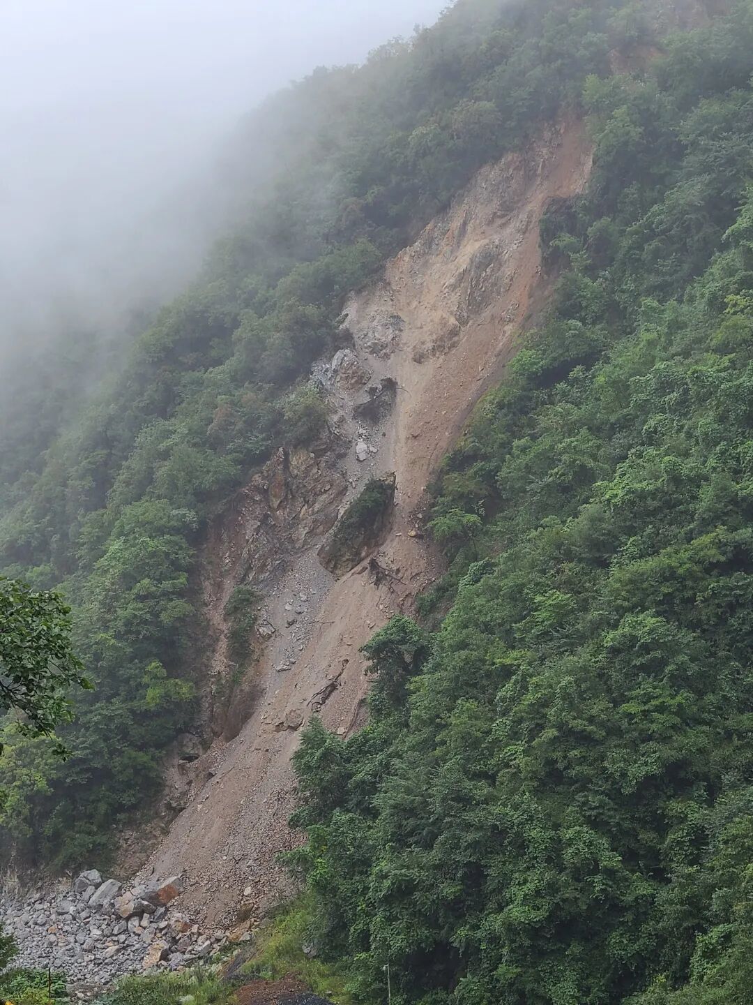 边坡生态修复常见问题及对策的图1