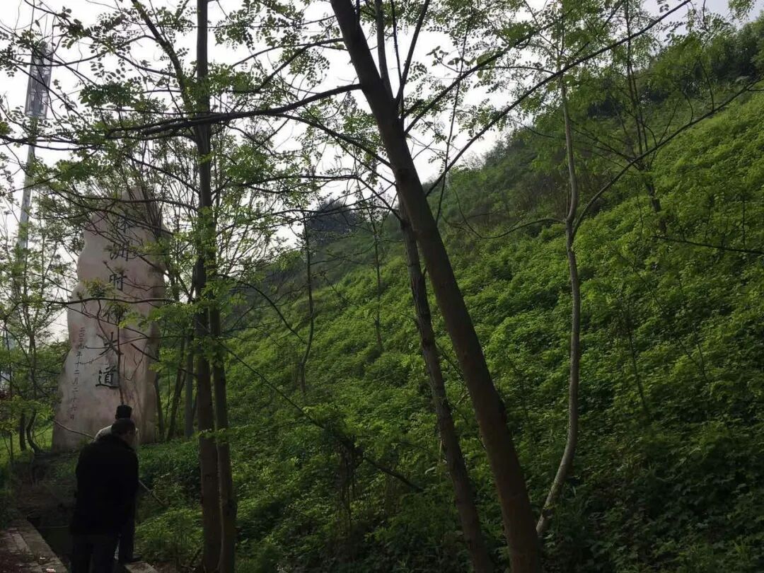 边坡生态修复常见问题及对策的图7