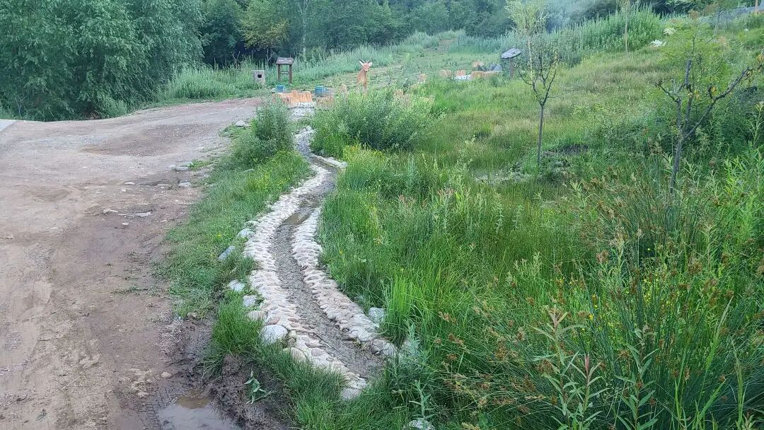 边坡生态修复常见问题及对策的图10