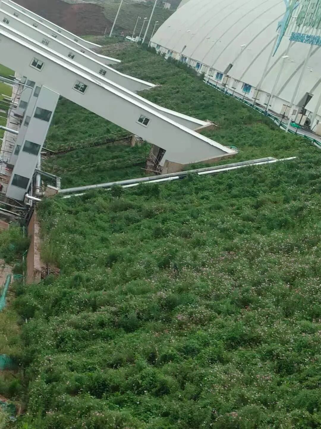 边坡生态修复常见问题及对策的图9