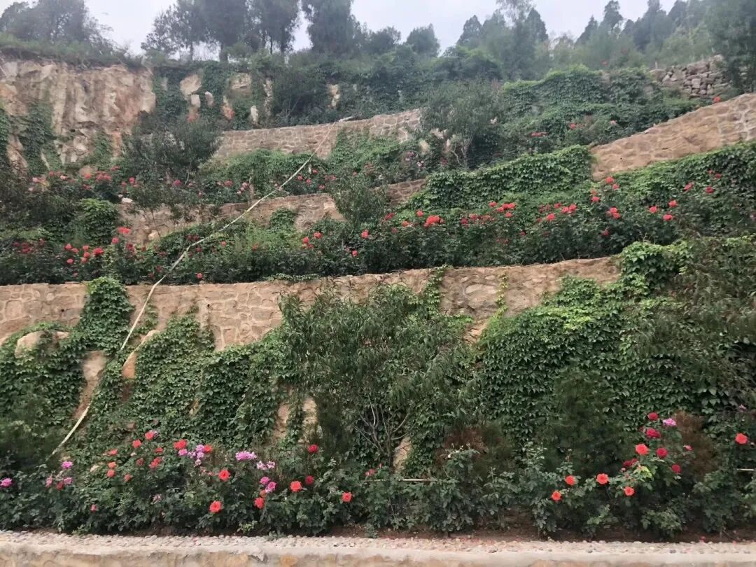 边坡生态修复常见问题及对策的图11