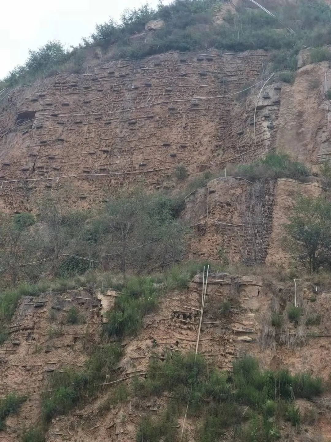 边坡生态修复常见问题及对策的图2