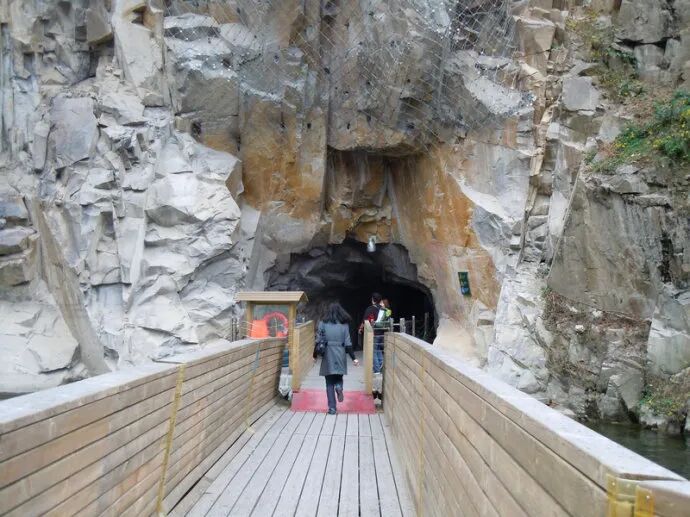 上海辰山植物园矿坑花园与岩石园详解的图28