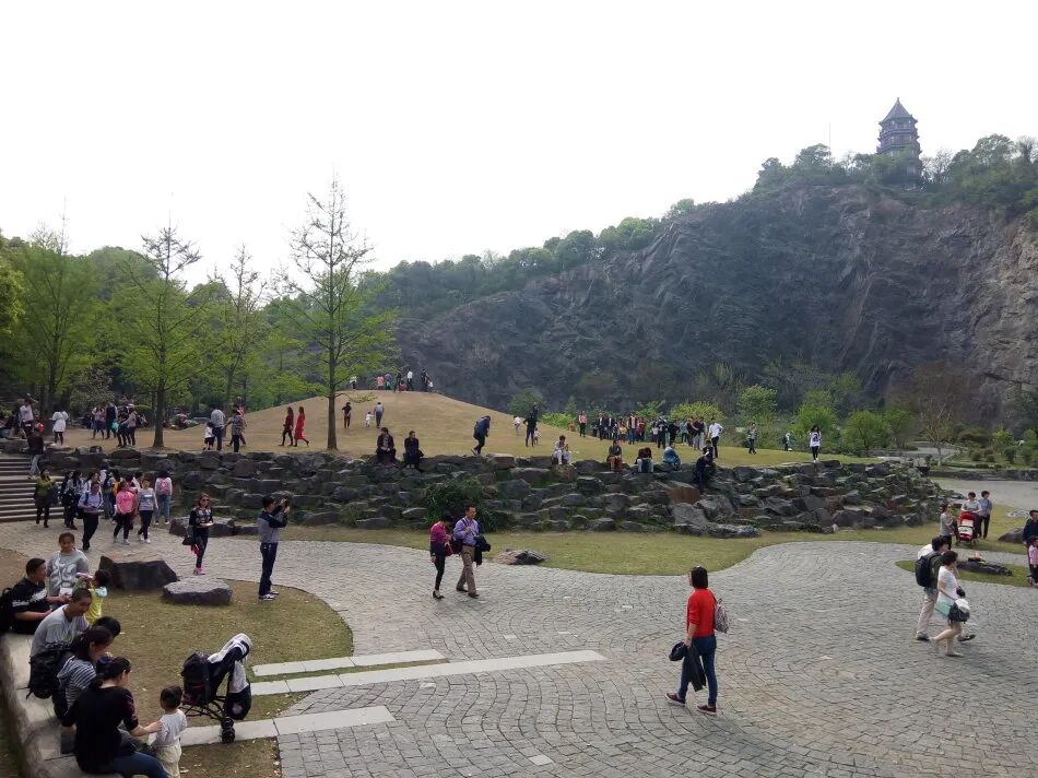 上海辰山植物园矿坑花园与岩石园详解的图49