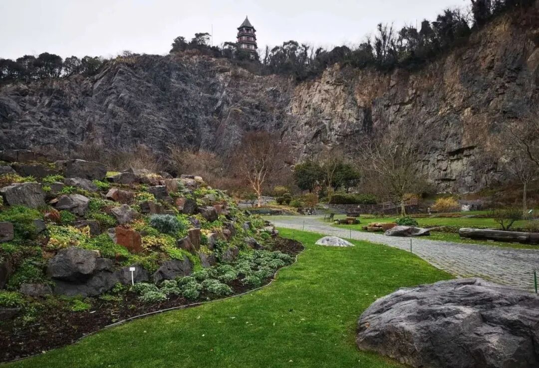 上海辰山植物园矿坑花园与岩石园详解的图42