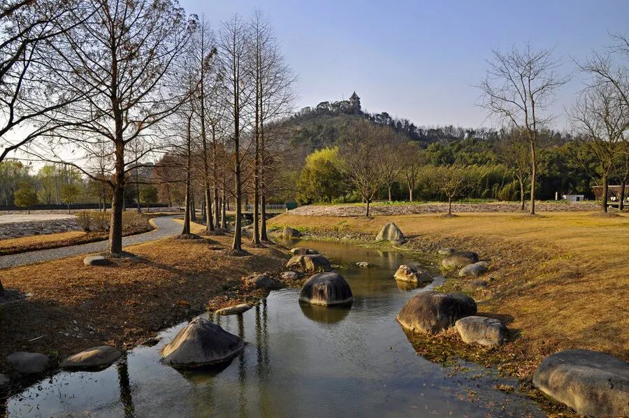 上海辰山植物园矿坑花园与岩石园详解的图33