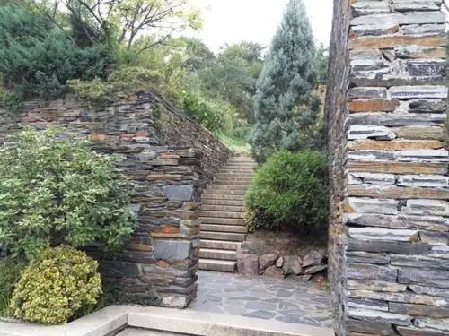 上海辰山植物园矿坑花园与岩石园详解的图45