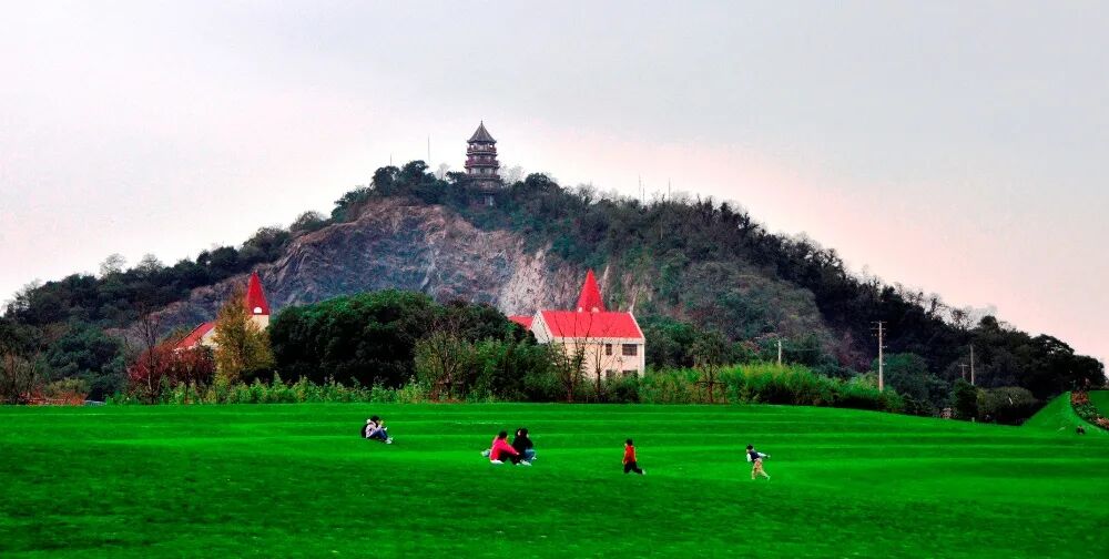 上海辰山植物园矿坑花园与岩石园详解的图1