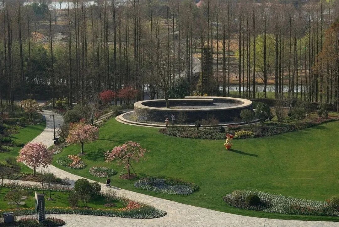 上海辰山植物园矿坑花园与岩石园详解的图34