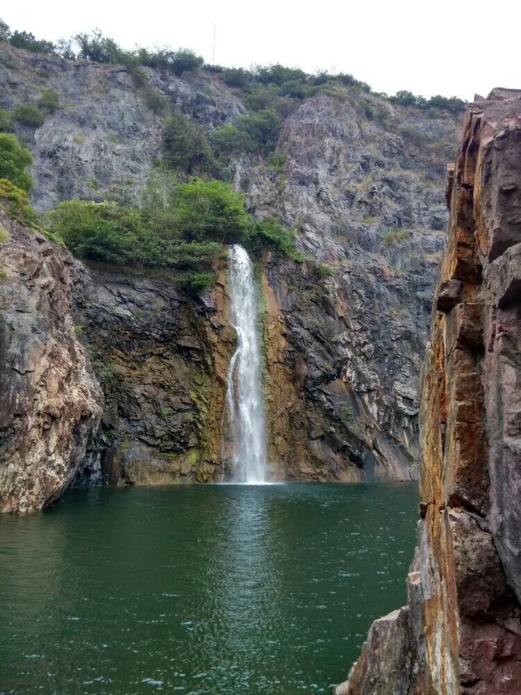 上海辰山植物园矿坑花园与岩石园详解的图26