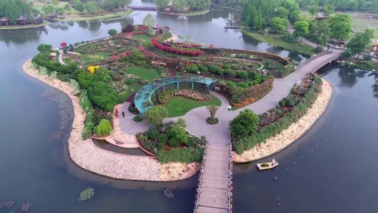 上海辰山植物园矿坑花园与岩石园详解的图16