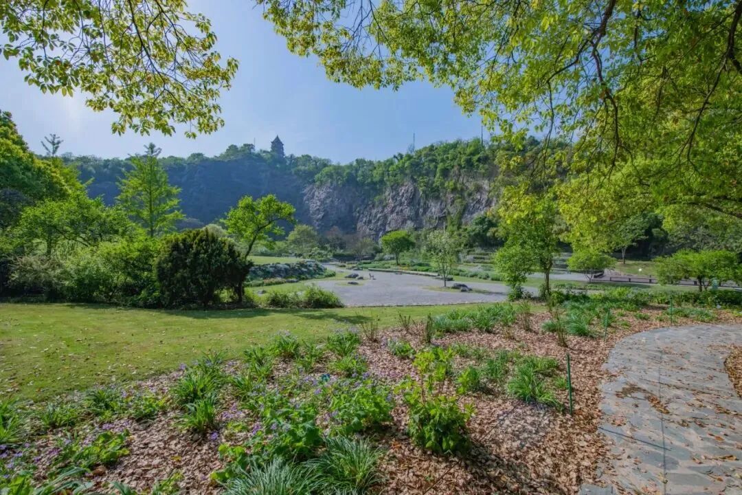上海辰山植物园矿坑花园与岩石园详解的图9