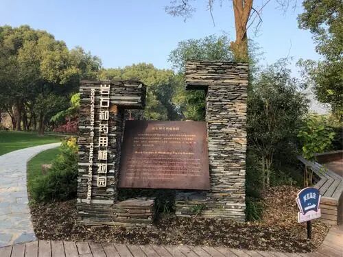 上海辰山植物园矿坑花园与岩石园详解的图35