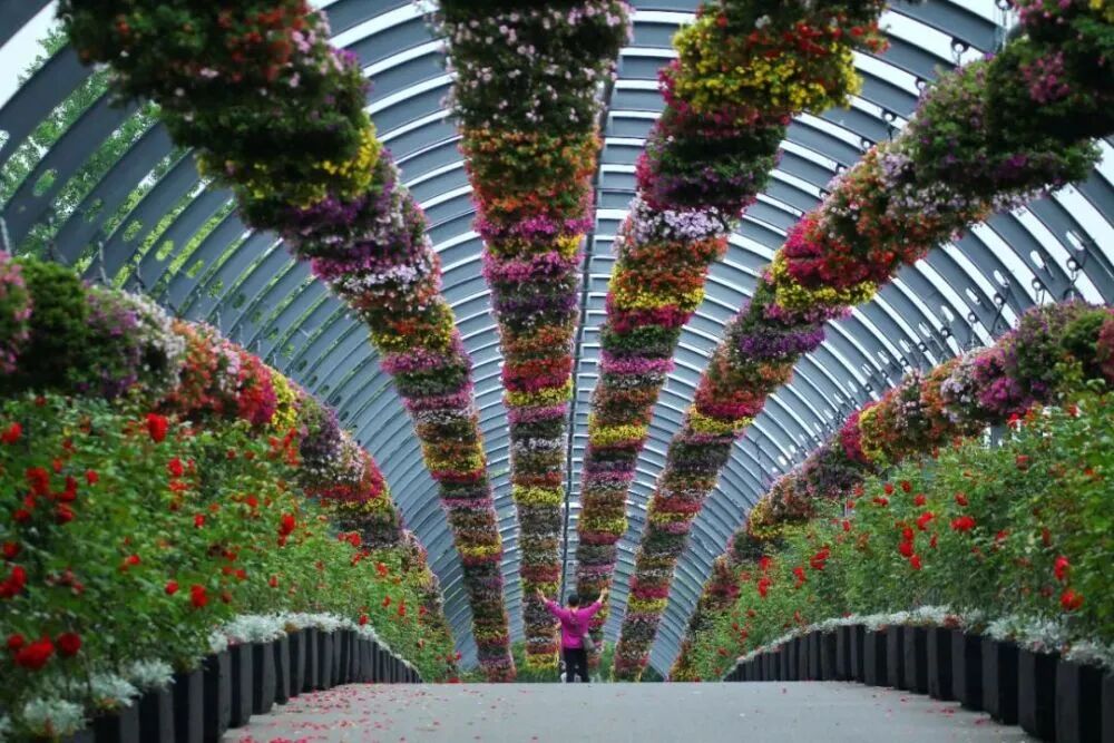 上海辰山植物园矿坑花园与岩石园详解的图30