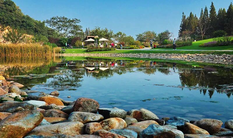 上海辰山植物园矿坑花园与岩石园详解的图21