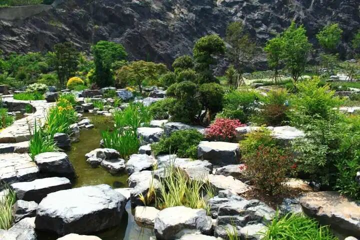 上海辰山植物园矿坑花园与岩石园详解的图38