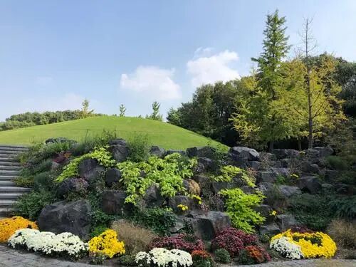 上海辰山植物园矿坑花园与岩石园详解的图43