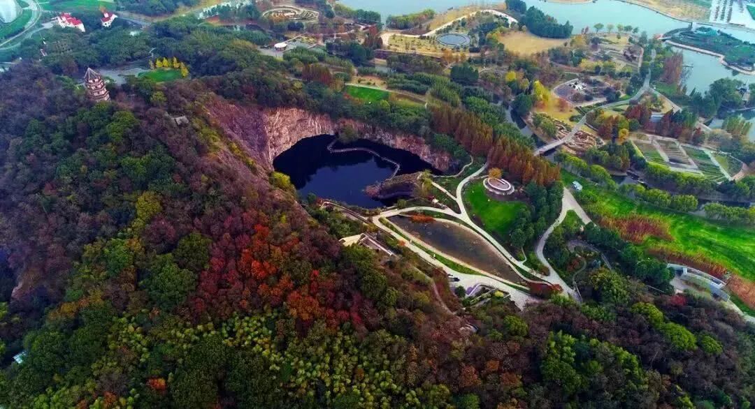 上海辰山植物园矿坑花园与岩石园详解的图32